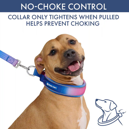 Martingale Collar and Multipurpose Leash Sets