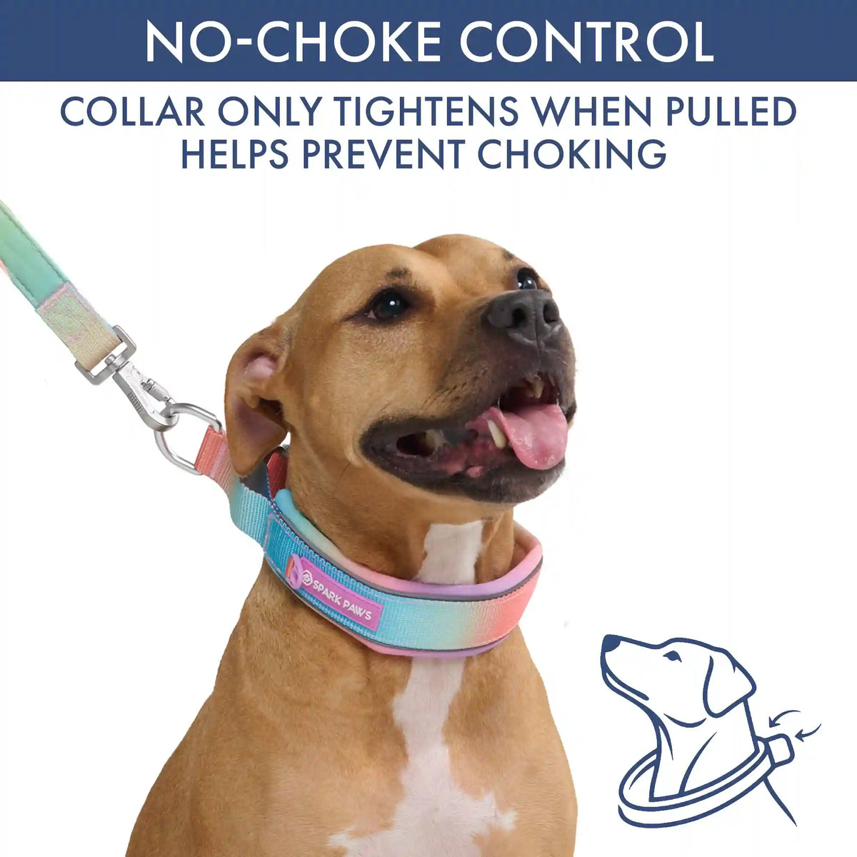 Martingale Collar Sets