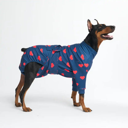 Dog Surgical Suit
