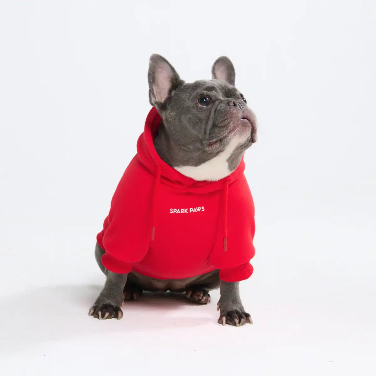 Essential Dog Hoodies