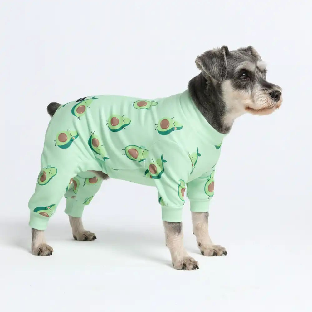 Dog Pajama Prints