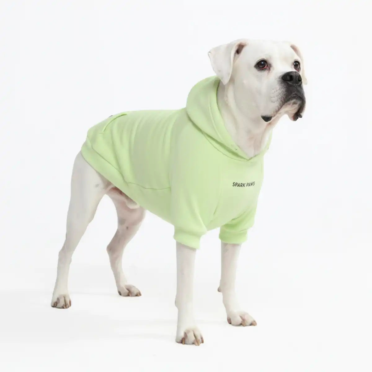 Essential Dog Hoodies