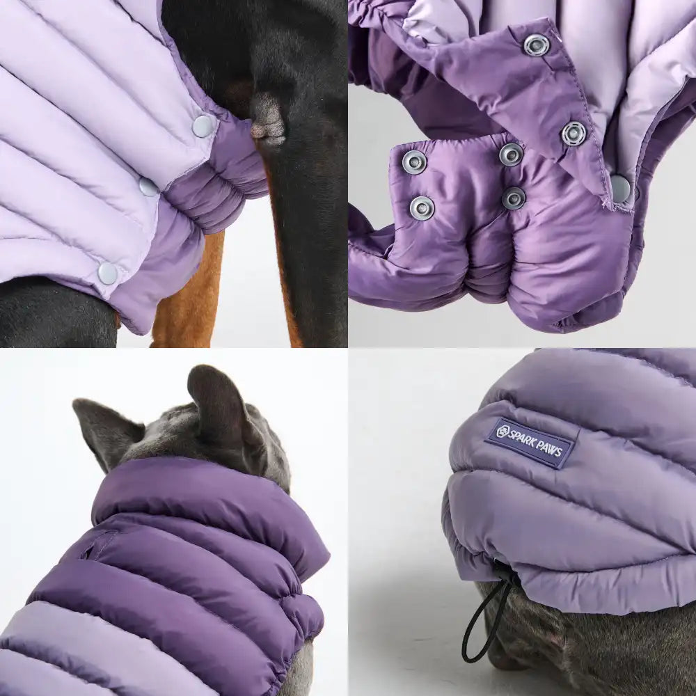 PuffShield Winter Jacket -  Purple