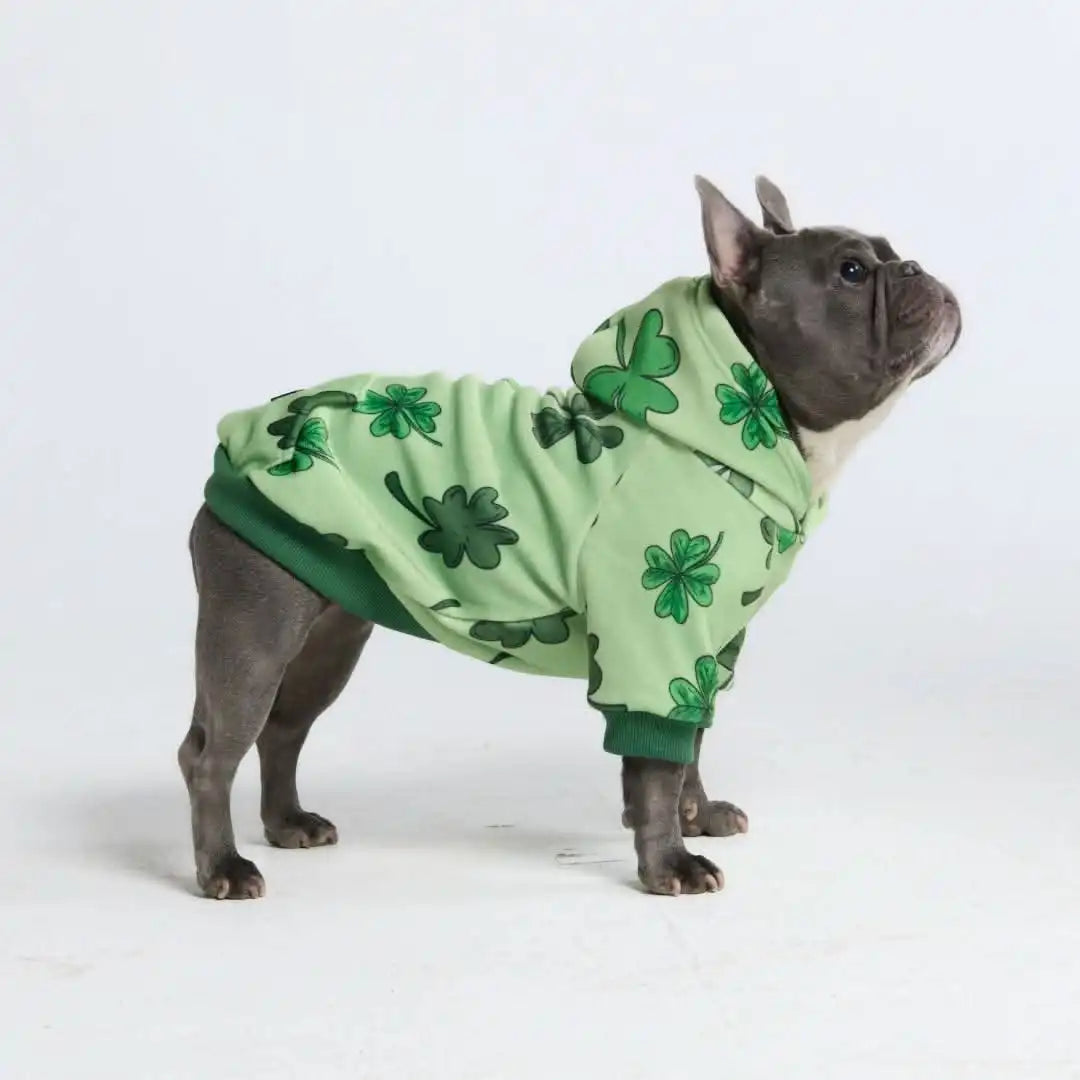 St. Paddy's Dog Hoodies (Limited Edition)