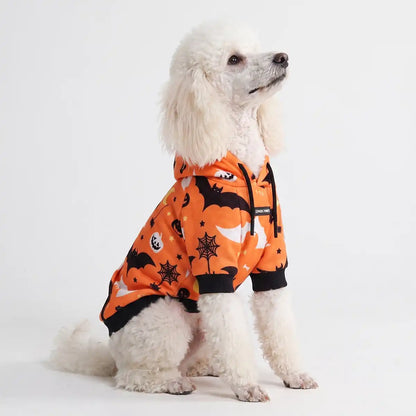 Halloween Dog Hoodie - Orange (2)