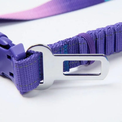 Multipurpose Seatbelt Handsfree Leash & Poop Bag Holder Set