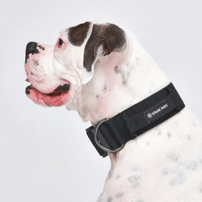 Comfort Control Dog Collars
