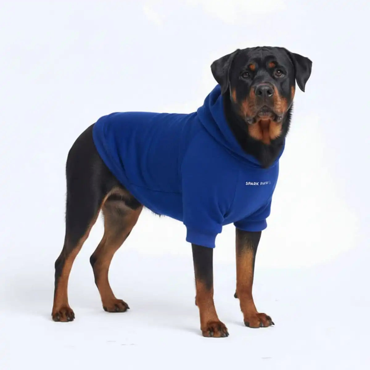 Essential Dog Hoodies