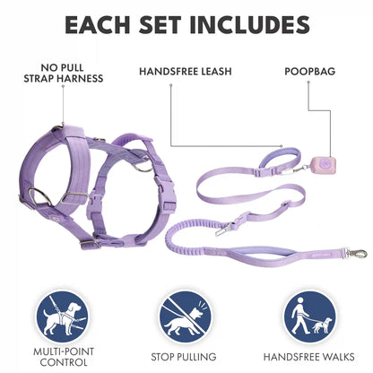 Comfort Control No-Pull Dog Harness and Multipurpose Leash Sets