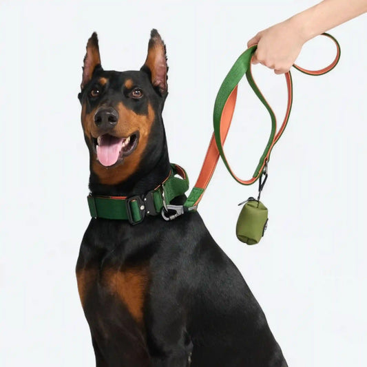 Comfort Control Collar Set - Green Orange