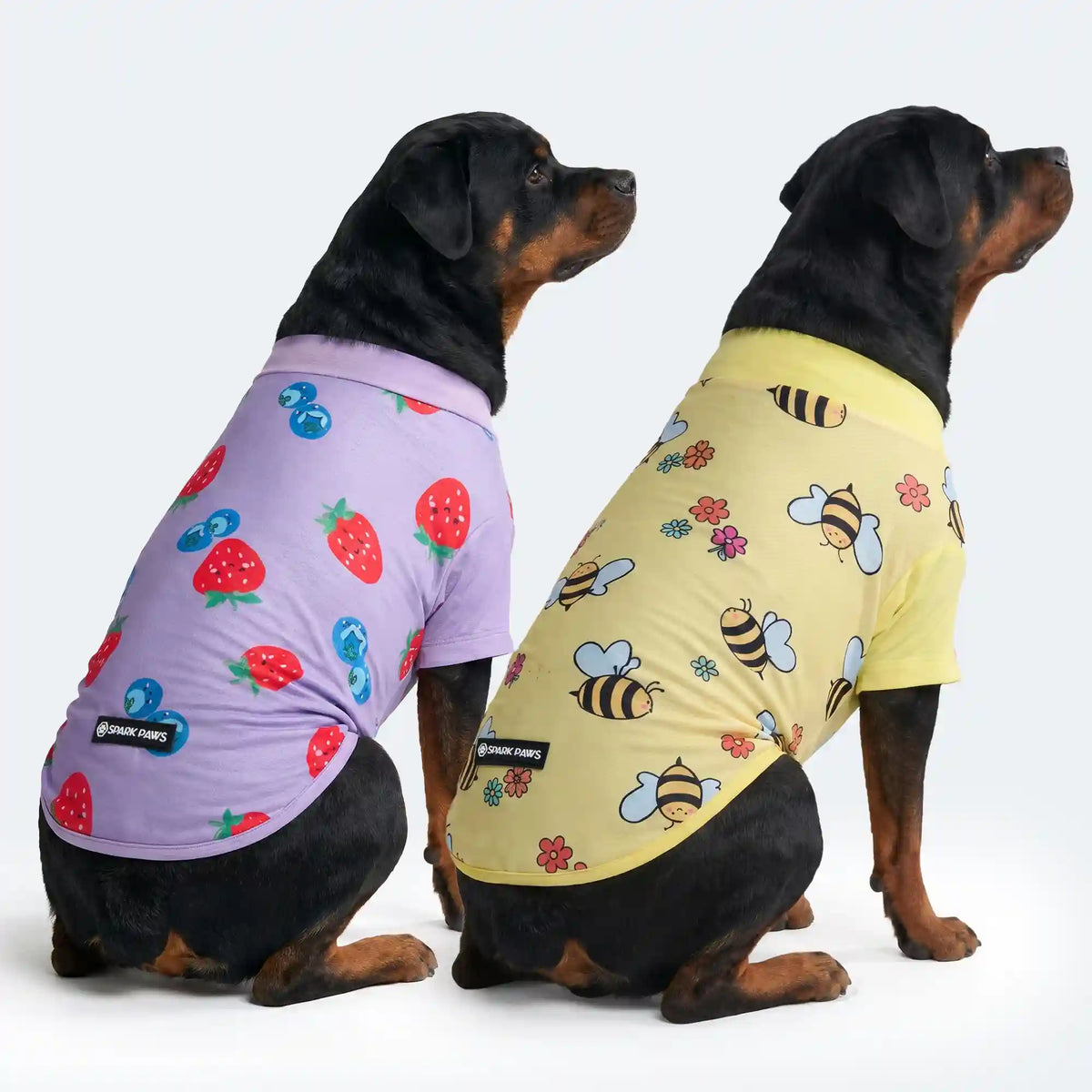 Sunblock Dog T-Shirt 2-pack