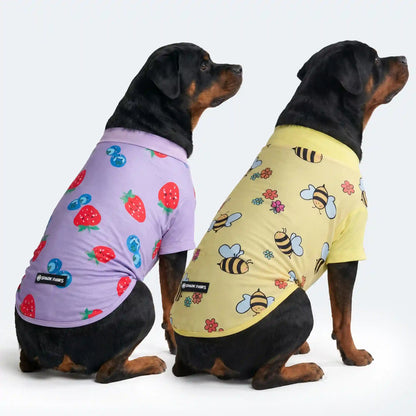Sunblock Dog T-Shirt 2-pack