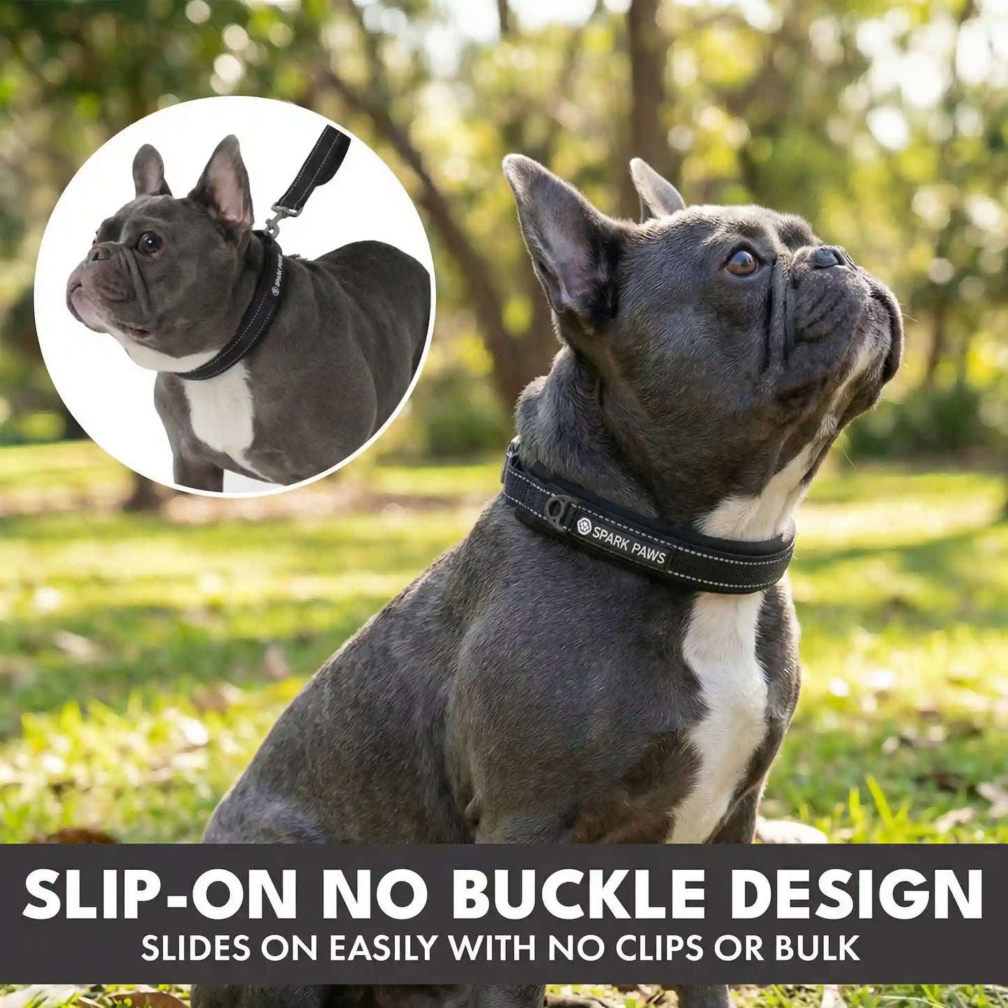 Martingale Collar and Multipurpose Leash Sets