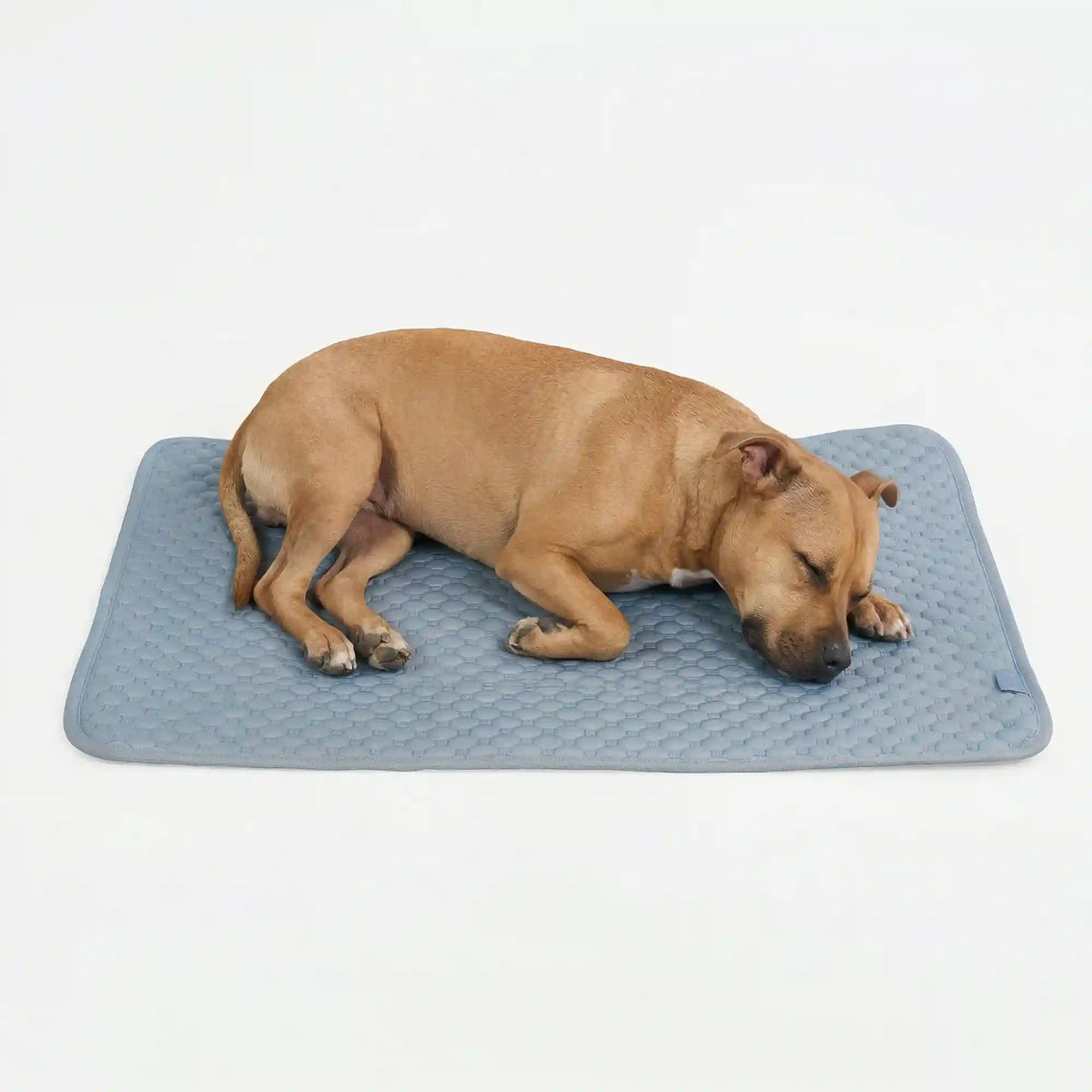 Frostcore™ Cooling Mat