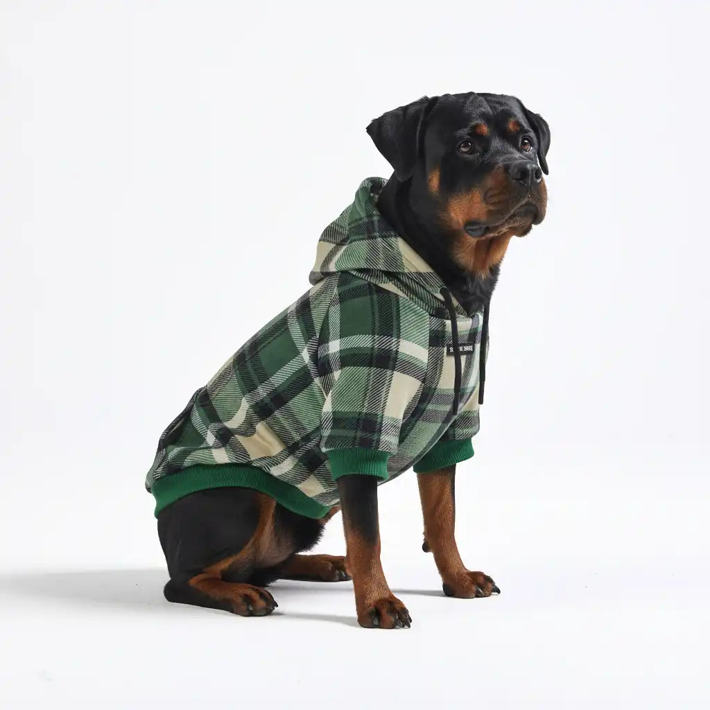 Plaid Dog Hoodies