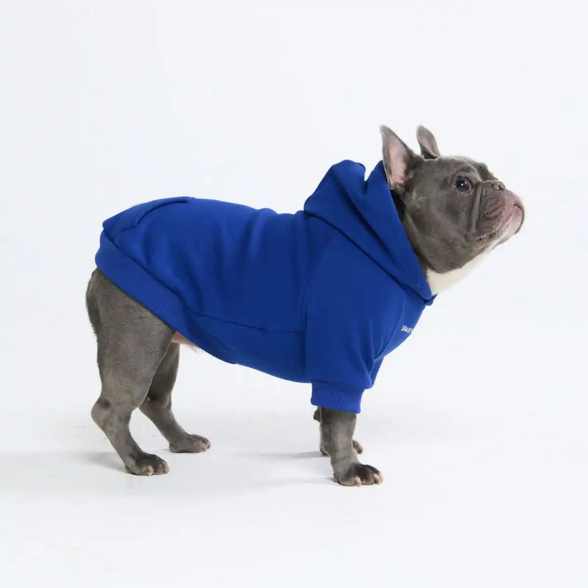 Essential Dog Hoodies