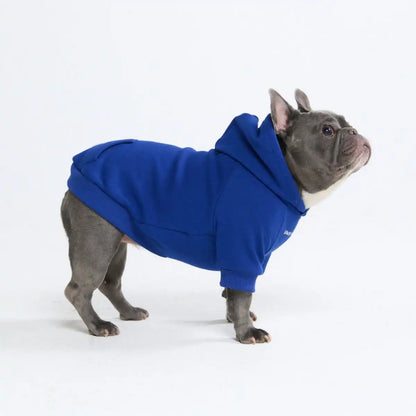 Essential Dog Hoodies