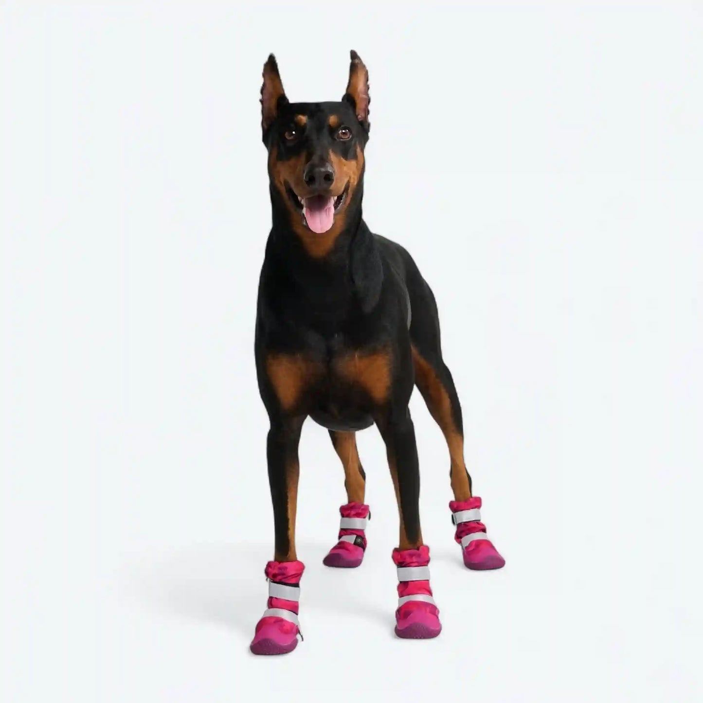 Dog Rainboots, Waterproof Dog Shoes