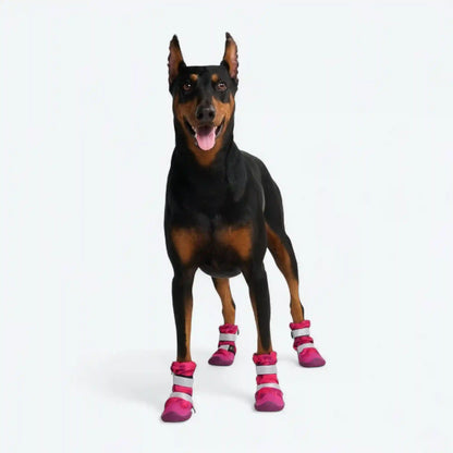 Dog Rainboots, Waterproof Dog Shoes