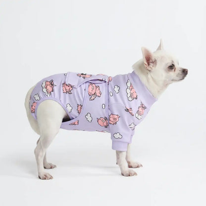 Dog Surgical Suit