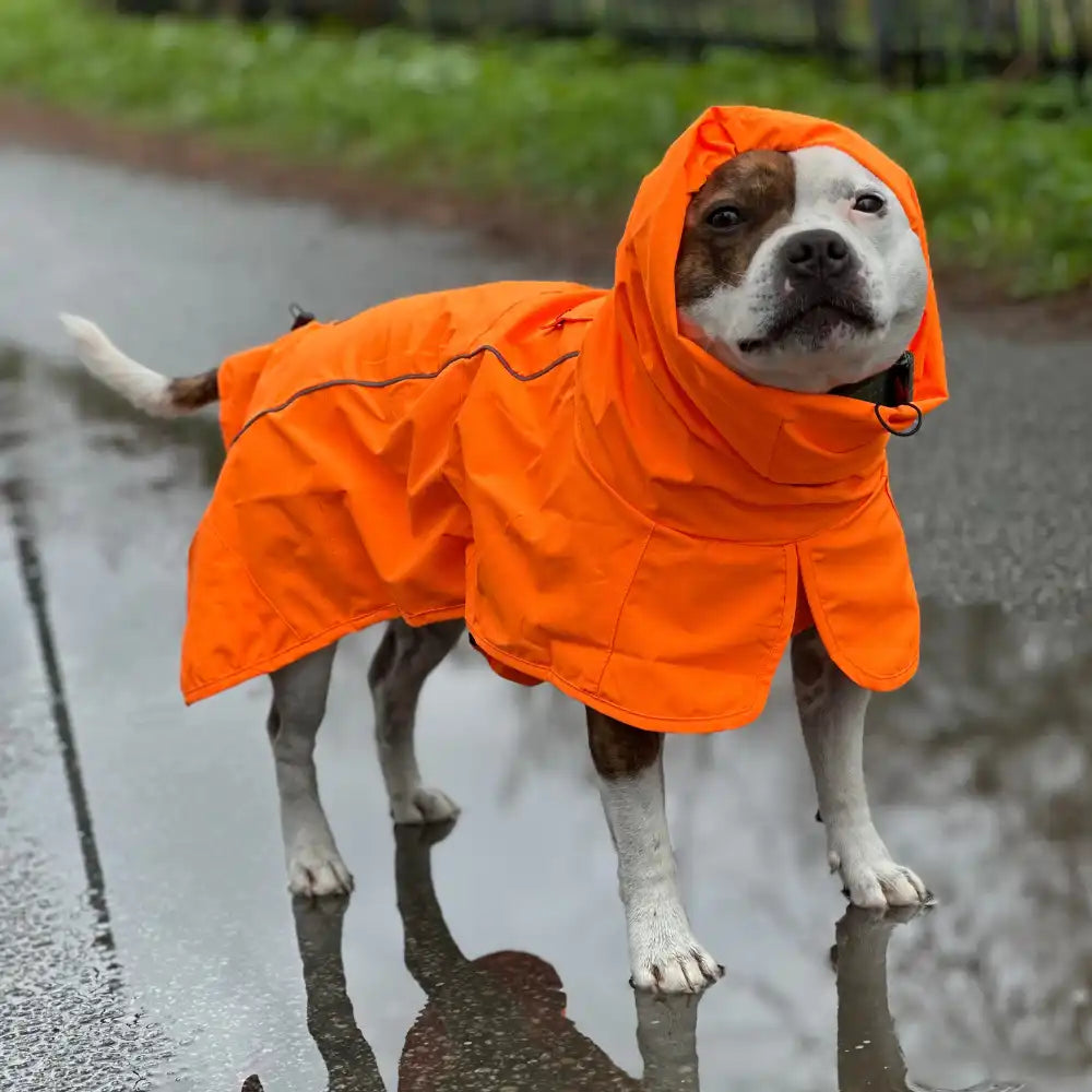 Breatheshield™ Dog Raincoats