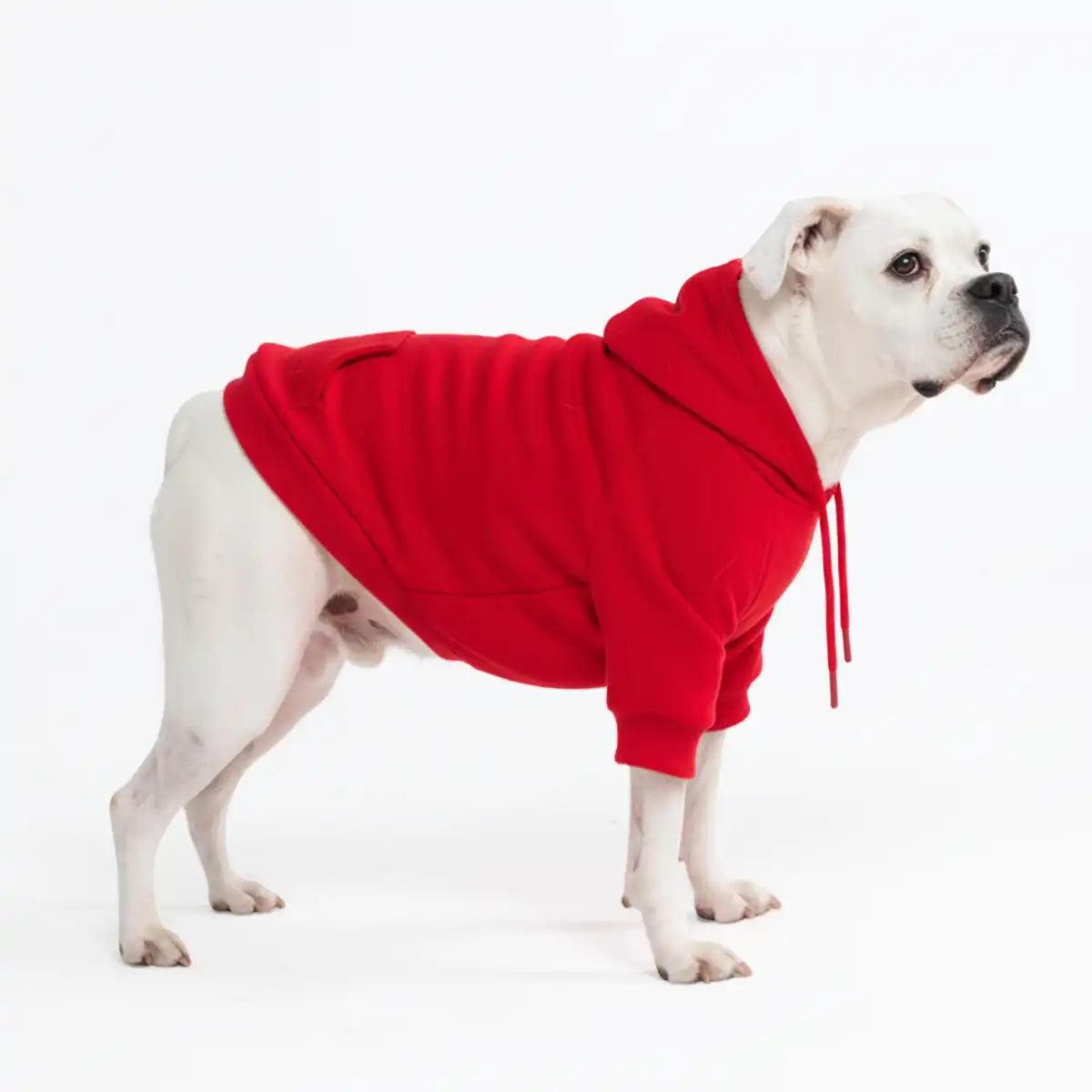 Essential Dog Hoodies
