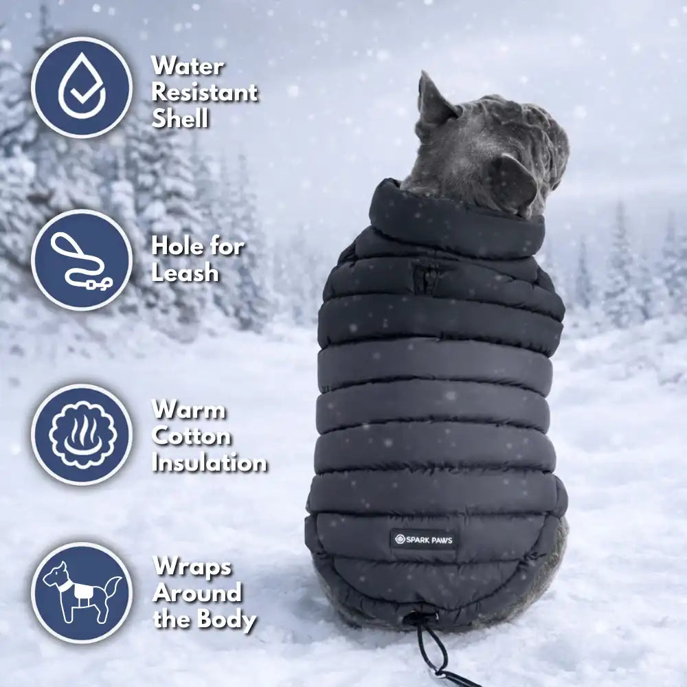 PuffShield Winter Jacket - Black