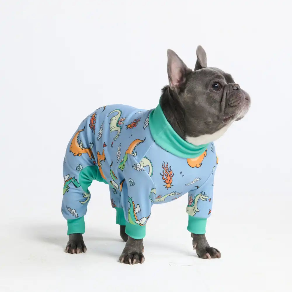 Dog Pajama Prints