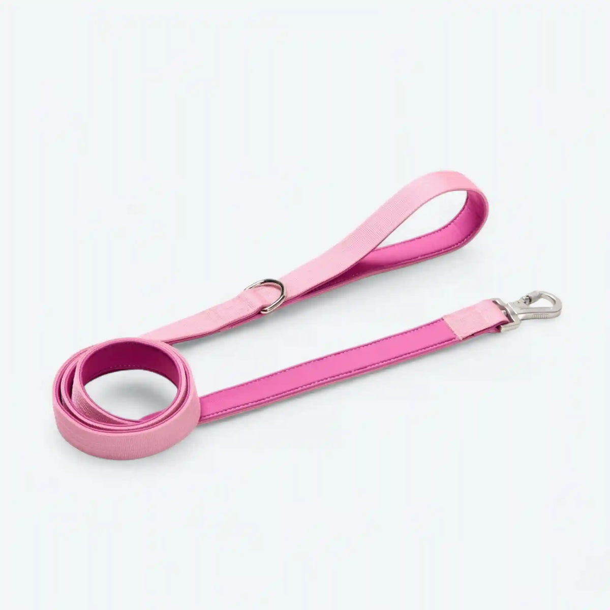 Leash and Poop Bag Holder Set