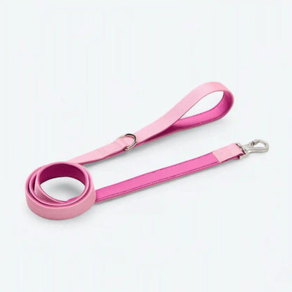 Leash and Poop Bag Holder Set