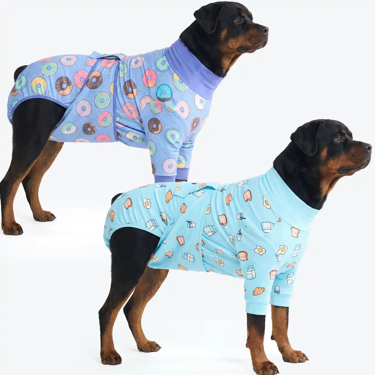 Dog Surgical Suit  2-pack