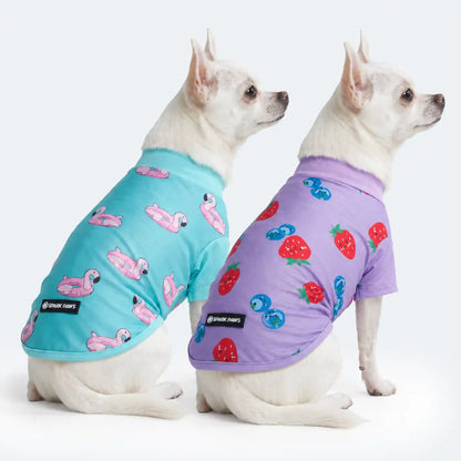 Sunblock Dog T-Shirt 2-pack
