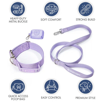 Comfort Control Collar Set - Lilac