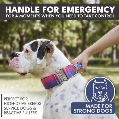 Comfort Control Collar - Snow Cone