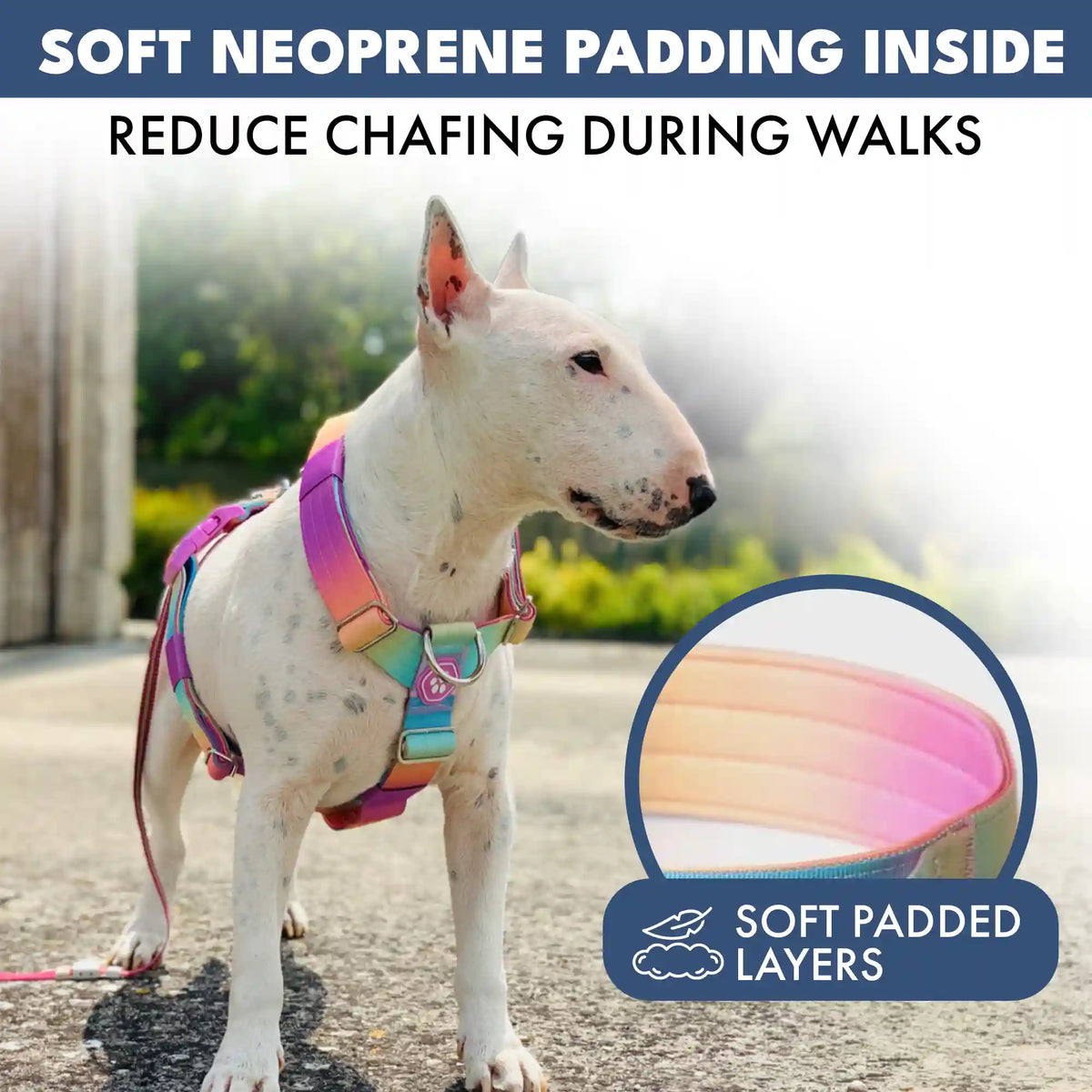 Comfort Control No-Pull Dog Harness Set - Pastel Icing
