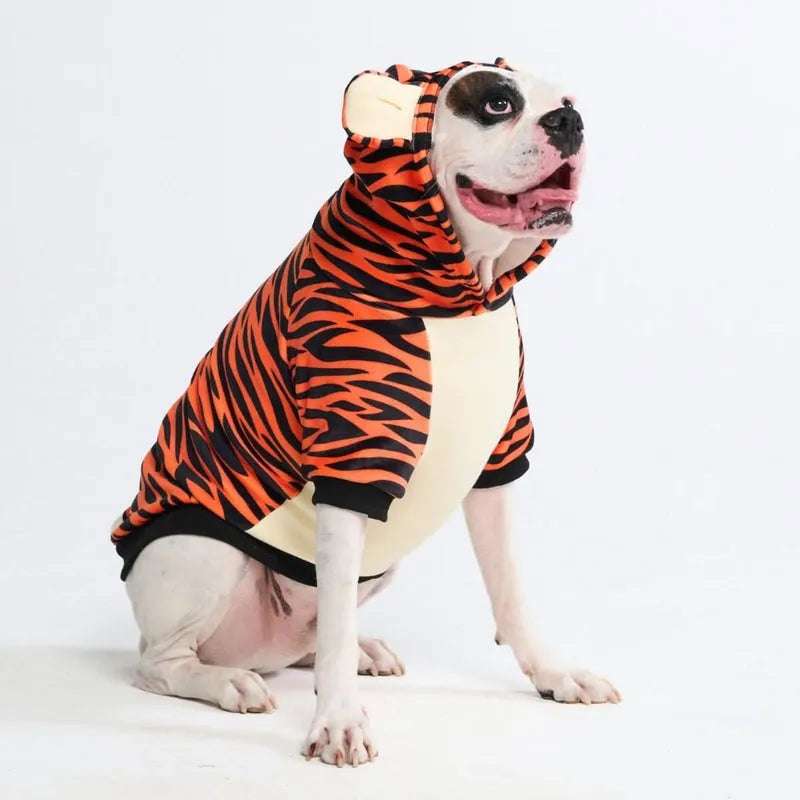 Halloween Dog Hoodies (Limited Edition)