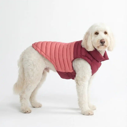 PuffShield Winter Jackets
