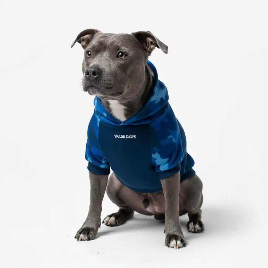 Blue Camo Dog Hoodie