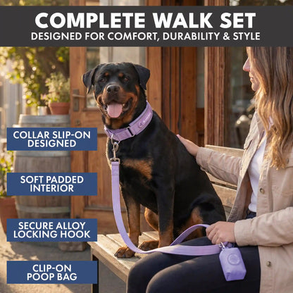 Martingale Collar Sets