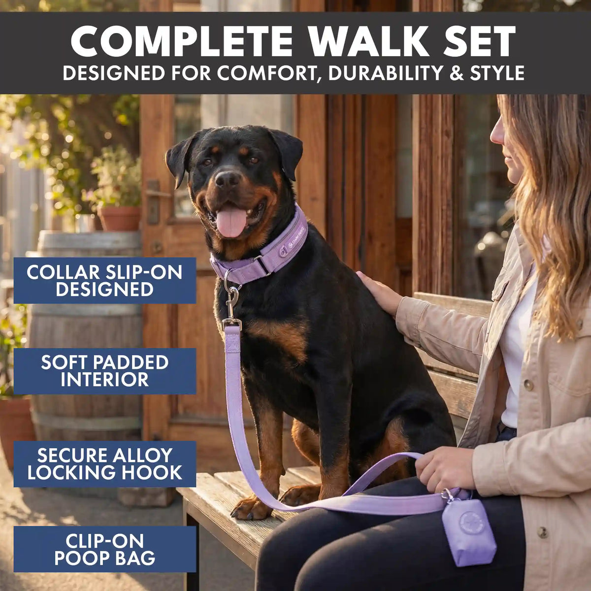 Martingale Collar Set - Lilac