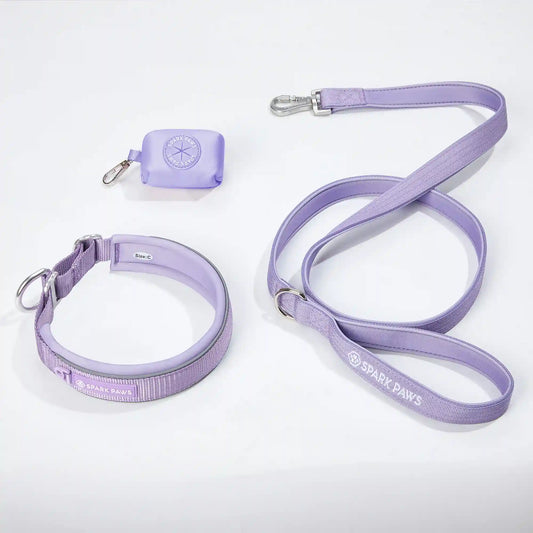 Martingale Collar Set - Lilac