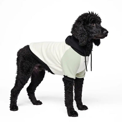 Olive Cream Dog Hoodie