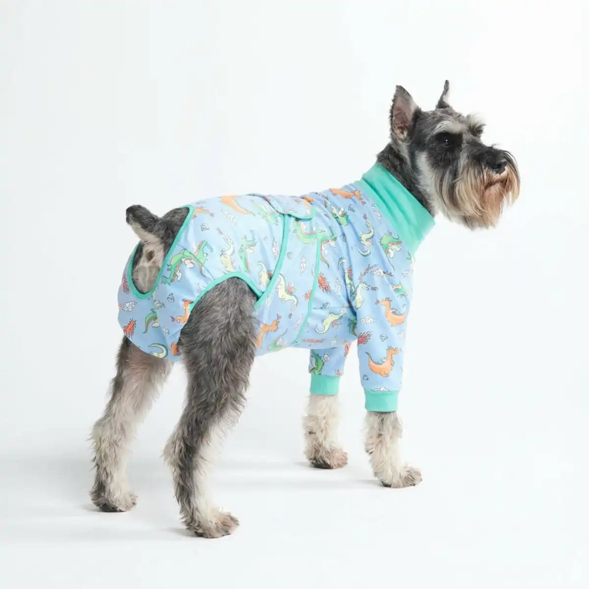 Dog Surgical Suit
