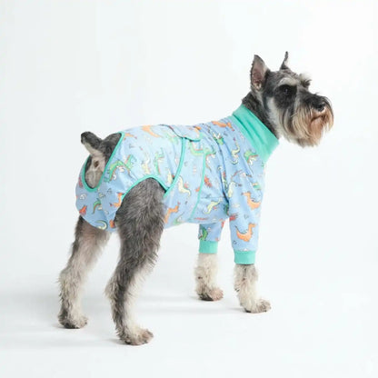 Dog Surgical Suit