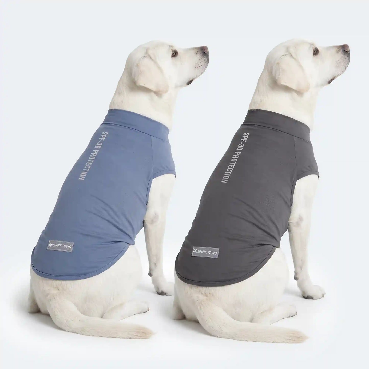 Sunblock Dog T-Shirt 2-pack