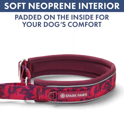Martingale Collar Set - Fuchsia Camo