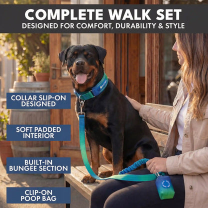 Martingale Collar and Multipurpose Leash Set - Lime Wave