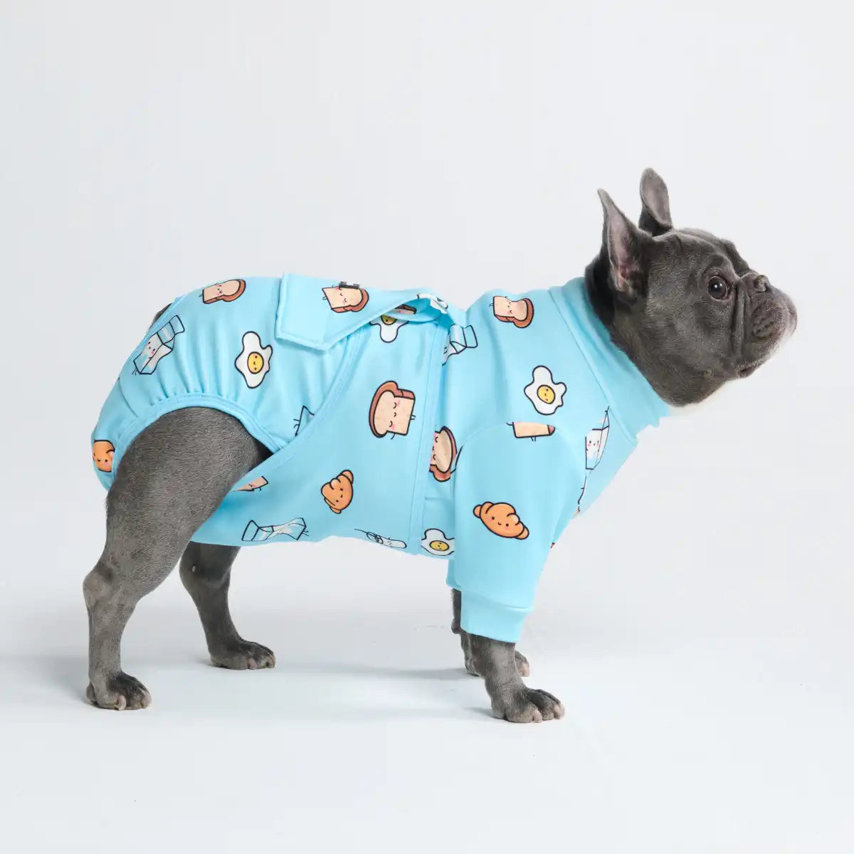 Dog Surgical Suit