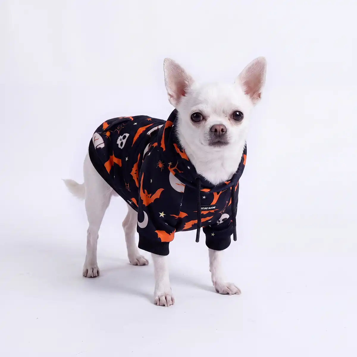 Halloween Dog Hoodie - Black (2)