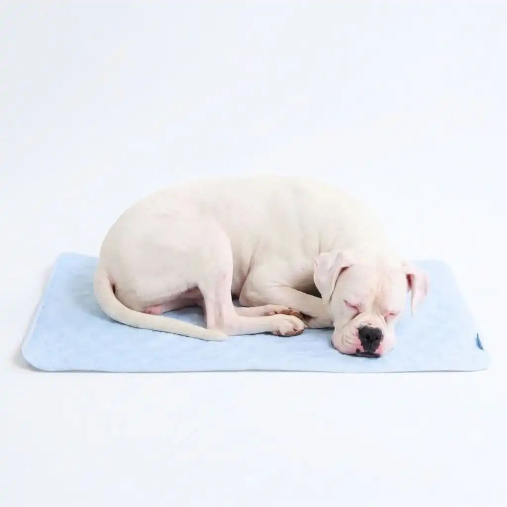 Frostcore™ Cooling Mat - Hearts Blue
